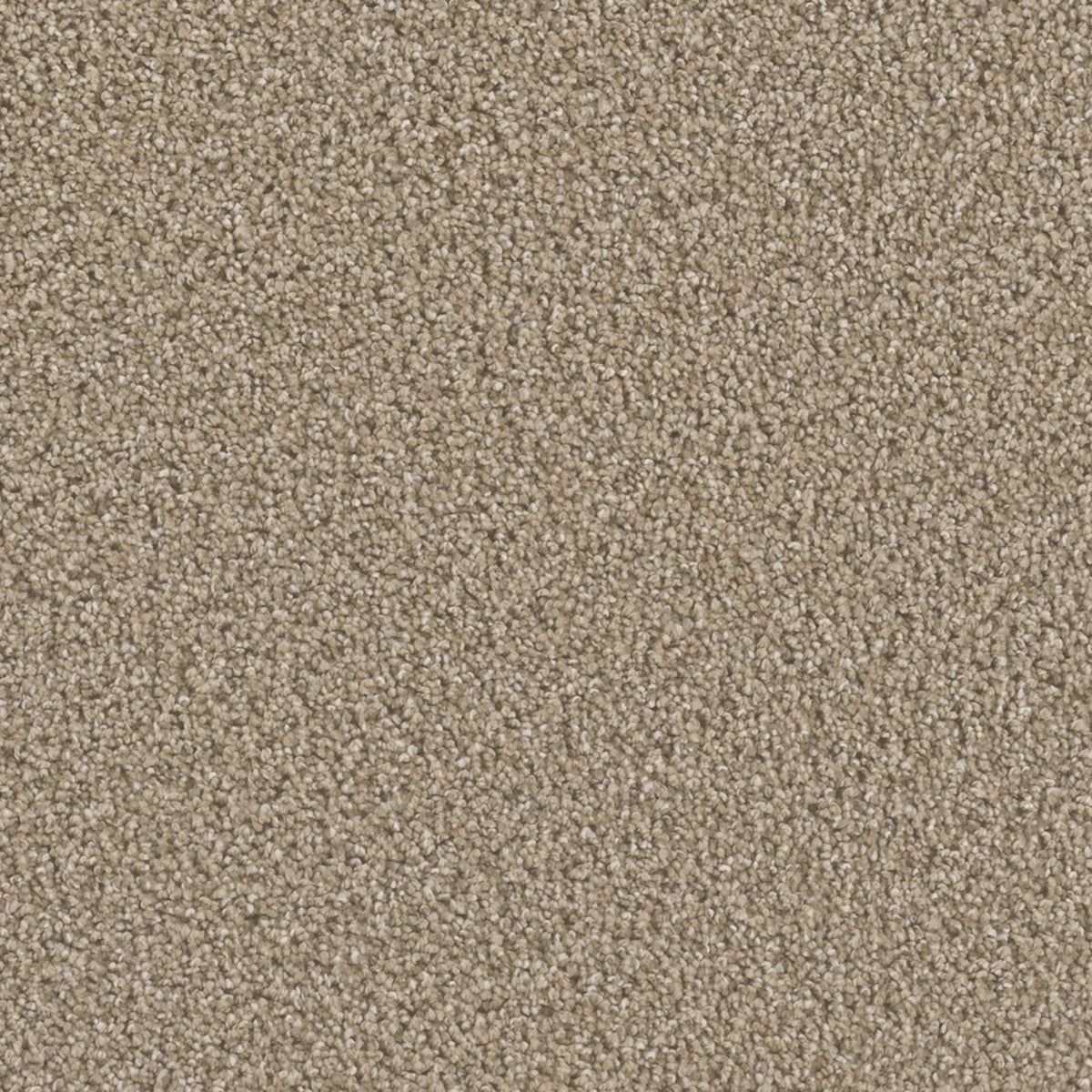 Manhattan in Straw Carpet