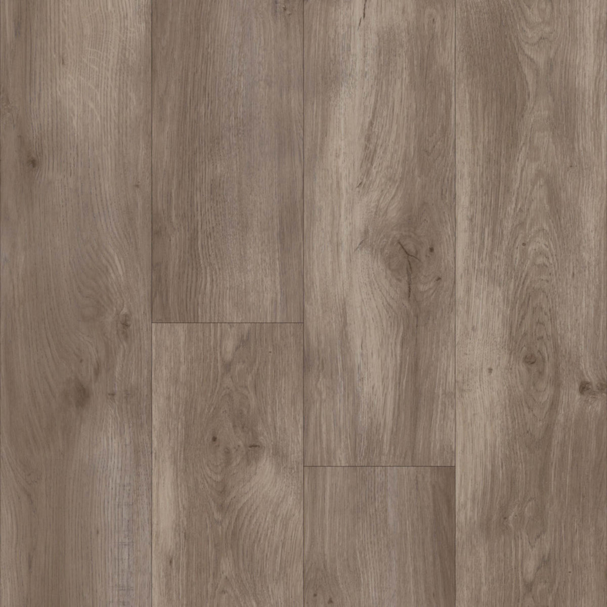 Moto in Autumnwood Luxury Vinyl