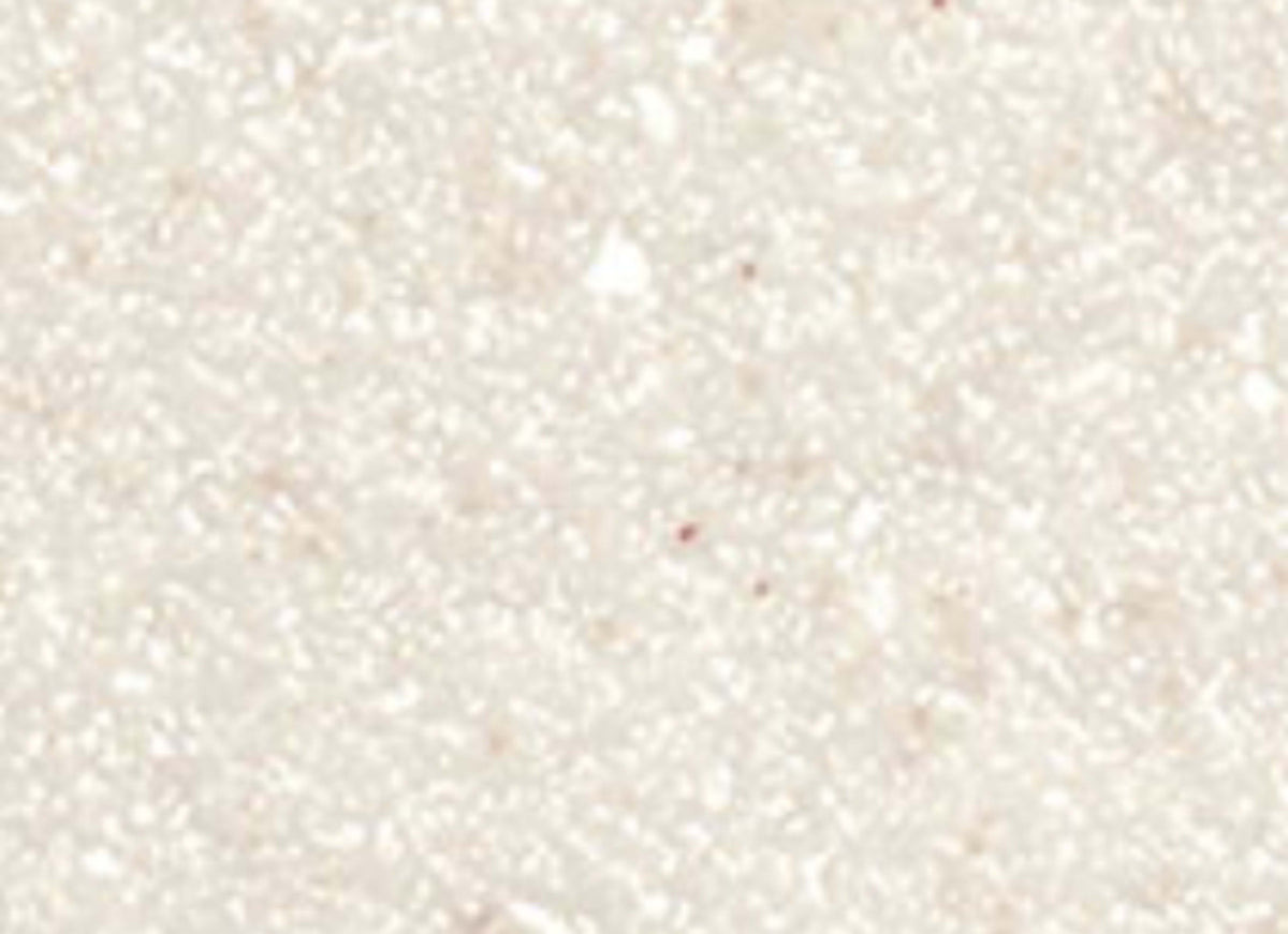 Solid Surface Collection in Pearl Mirage