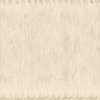 Solid Surface Collection in Europa Solid Surface