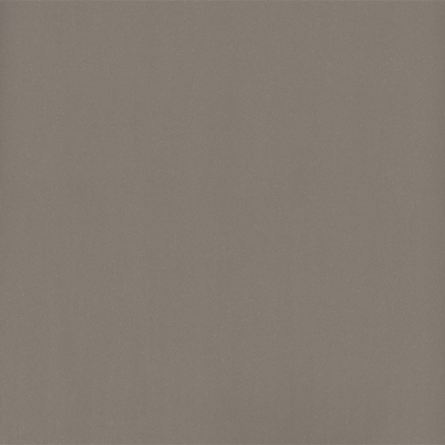 Solid Surface Collection in Mink Concrete Solid Surface