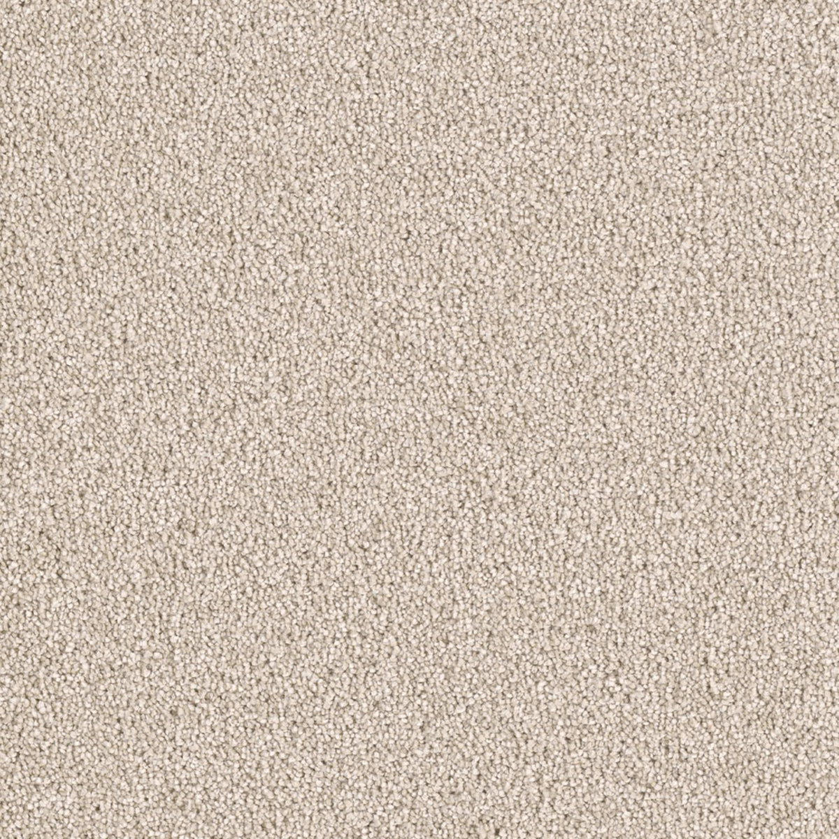 Elk River in Blush Carpet