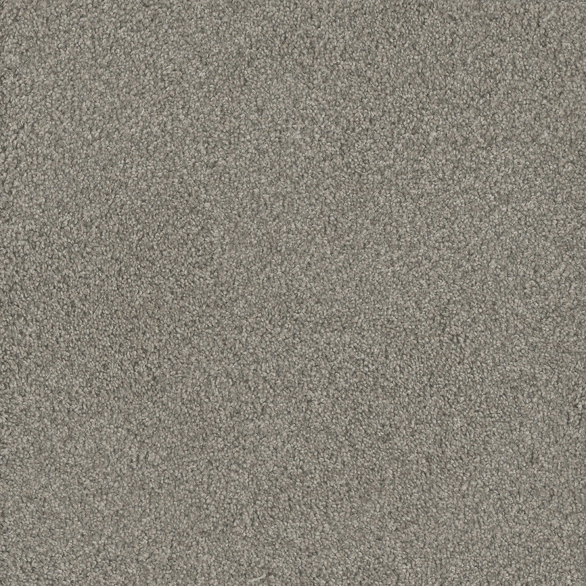 No Limits III in Dewberry Carpet