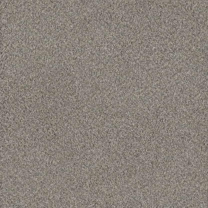 No Limits III in Dewberry Carpet