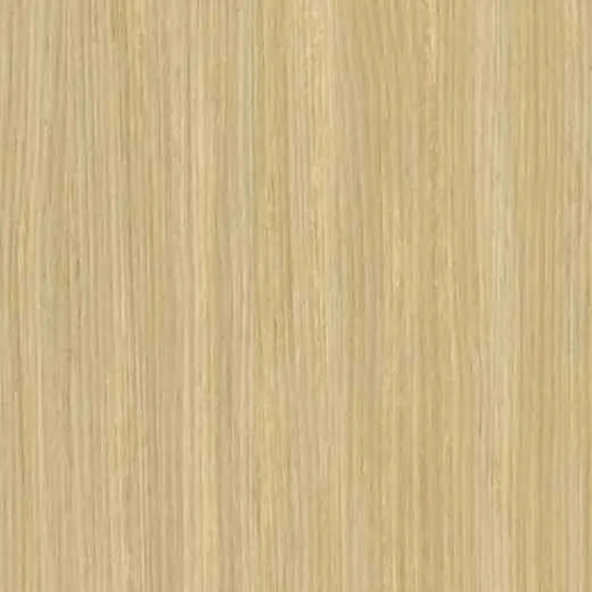 Marmoleum - Cinch LOC SEAL in Pacific Beaches Vinyl Sheet Goods