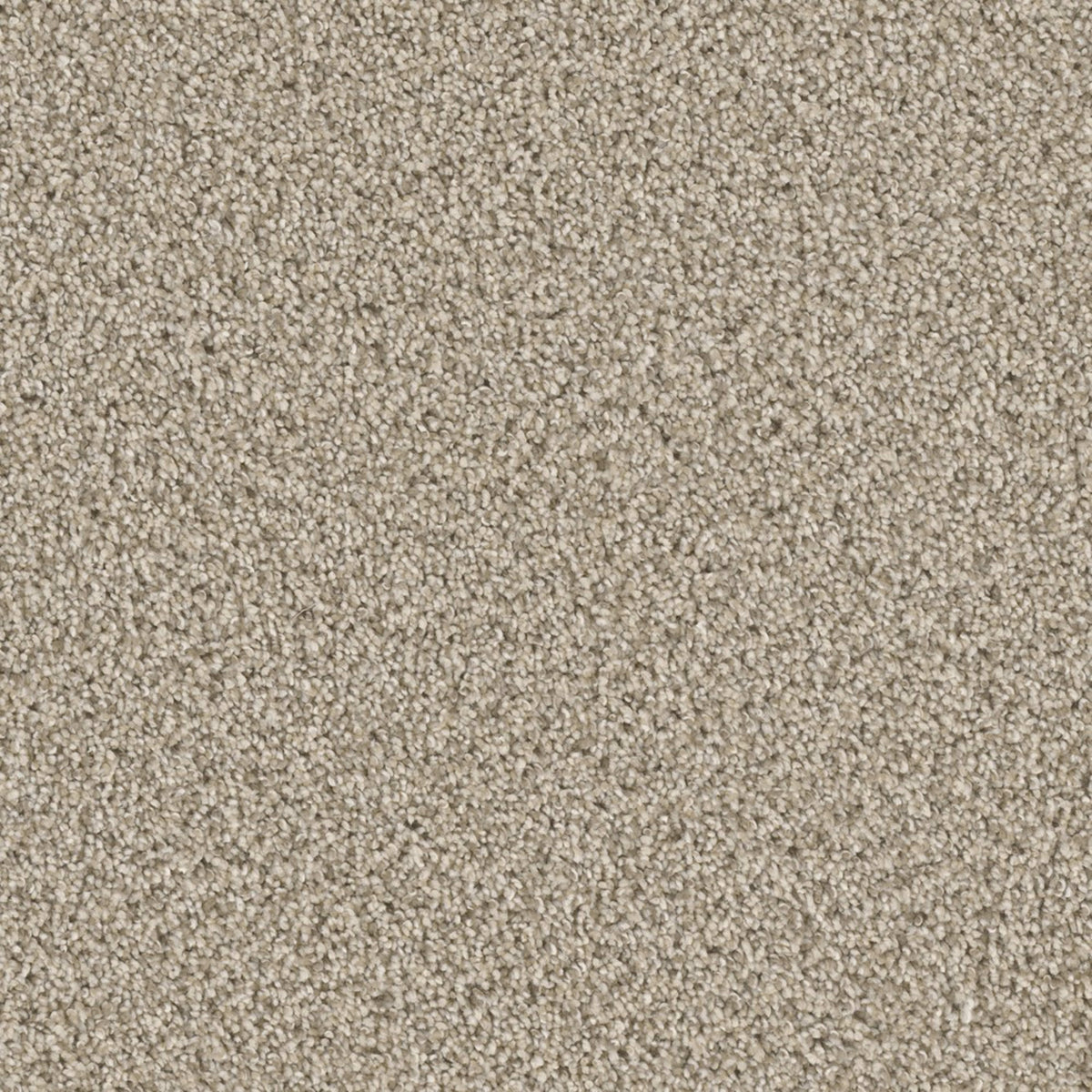 Runway II in Linen Carpet
