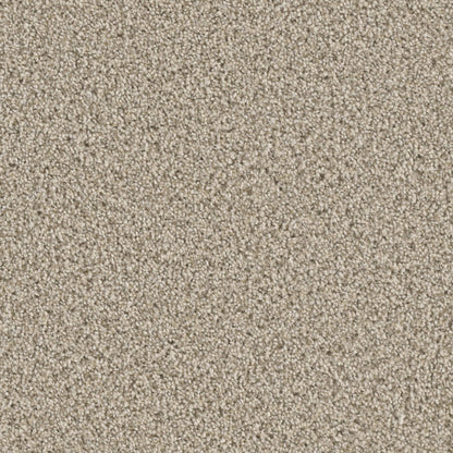 Runway II in Linen Carpet