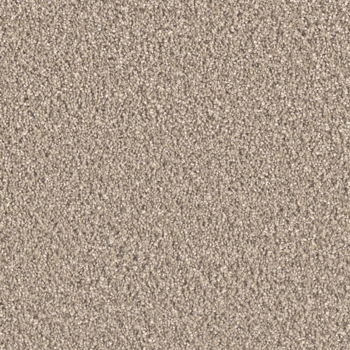 Brooklyn in Tumbleweed Carpet