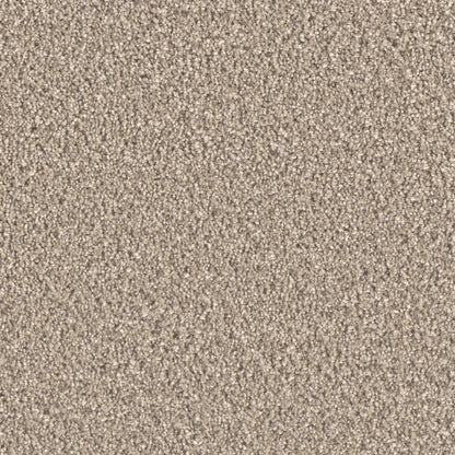 Brooklyn in Tumbleweed Carpet
