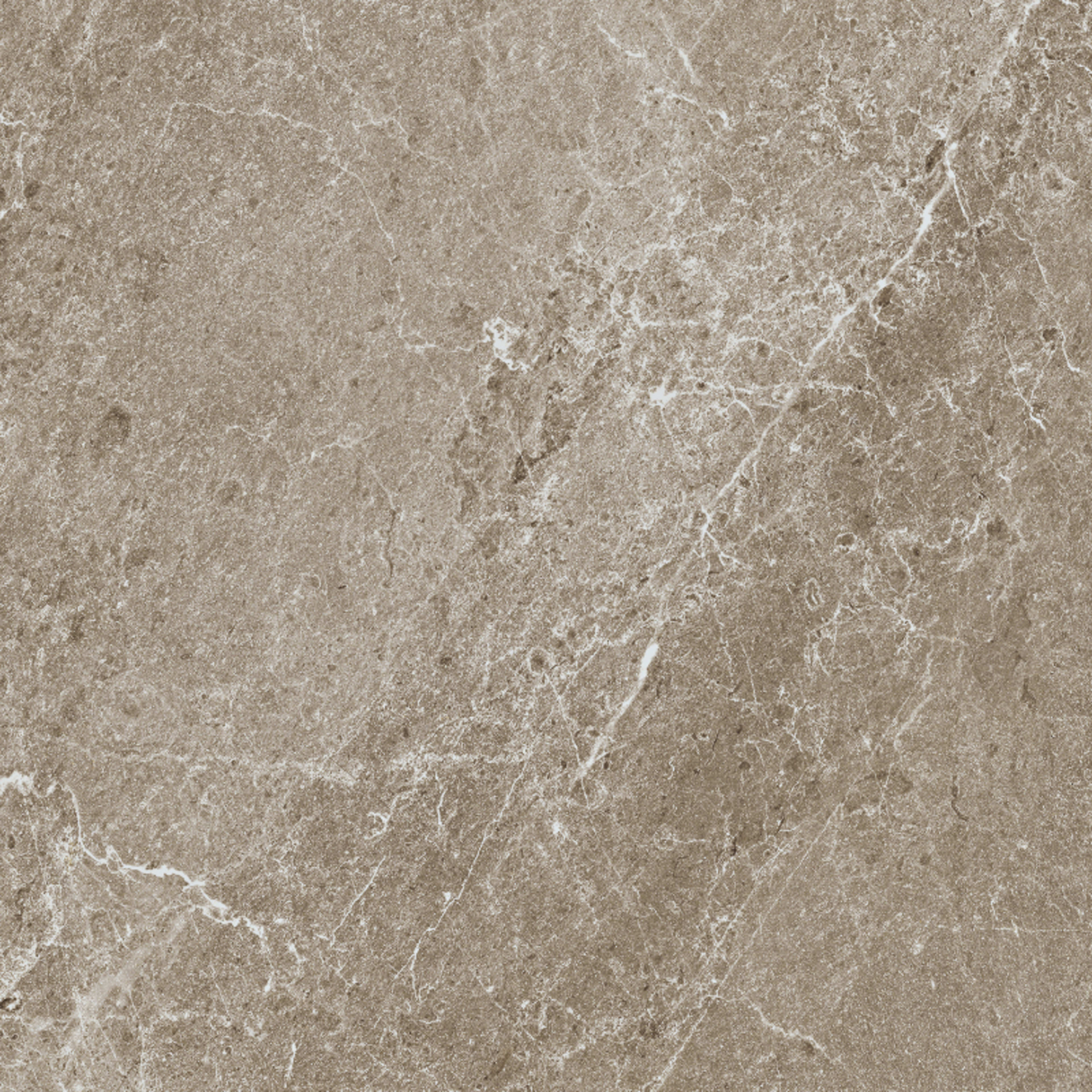 Advance in Greige 12x24 Tile