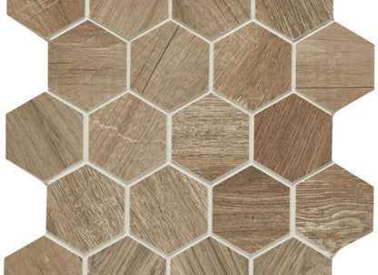 Aequa in Tur Hex Mosaic