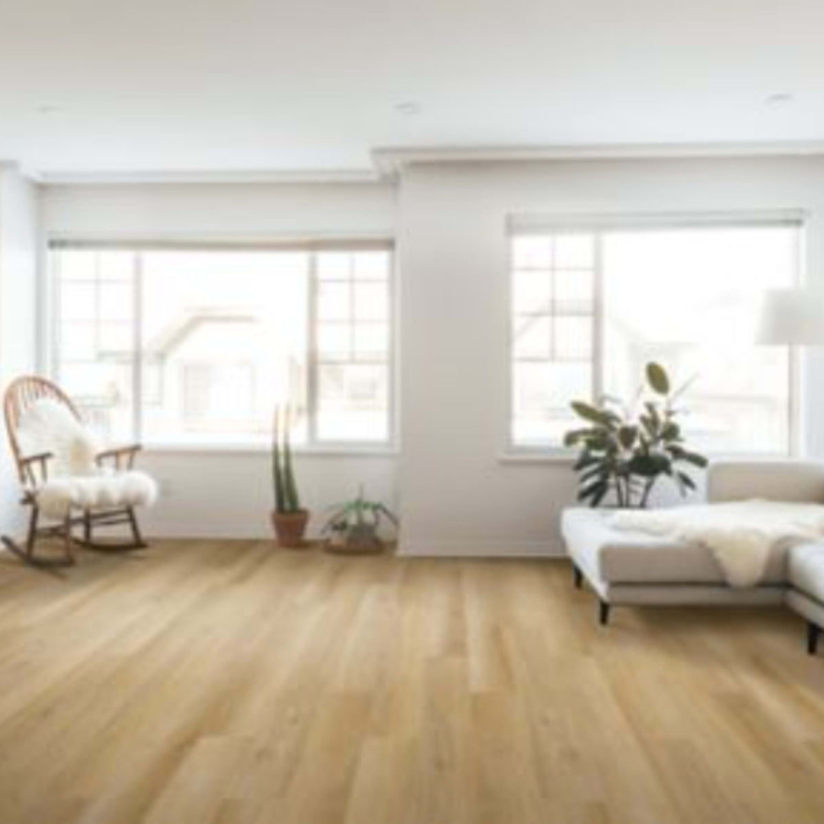 Long Bien 2.0 in Carlsbad Luxury Vinyl