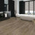 Mekong Delta 5.0 in Simply Ecru Luxury Vinyl