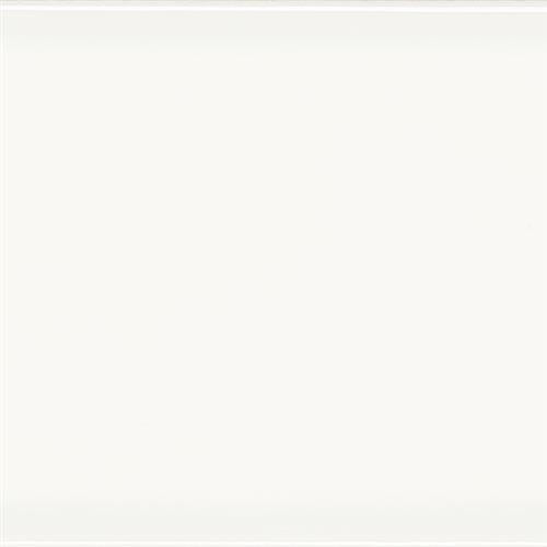 Albatros in White Tile