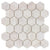 The Finish Line in Hive Pale Beige Natural Stone