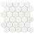 The Finish Line in Hive Regency White Natural Stone