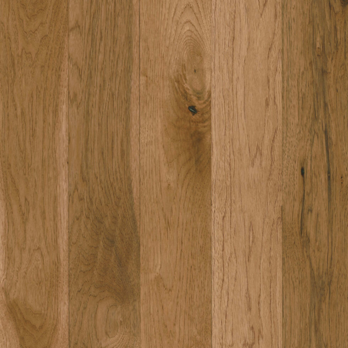 Prime Harvest Hickory Solid in Whisper Harvest 3.25" Hardwood