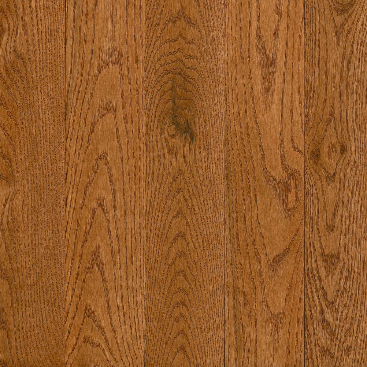 Prime Harvest Red Oak Solid in Gunstock 2.25" Hardwood