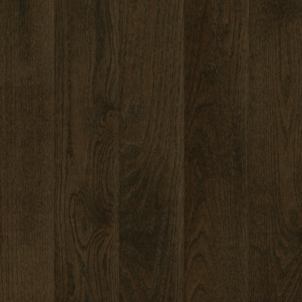 Prime Harvest Red Oak Solid in Blackened Brown 2.25" Hardwood