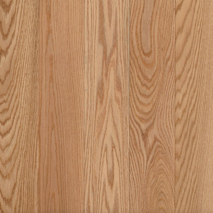 Prime Harvest Red Oak Solid in Natural 3.25" - High Gloss Hardwood