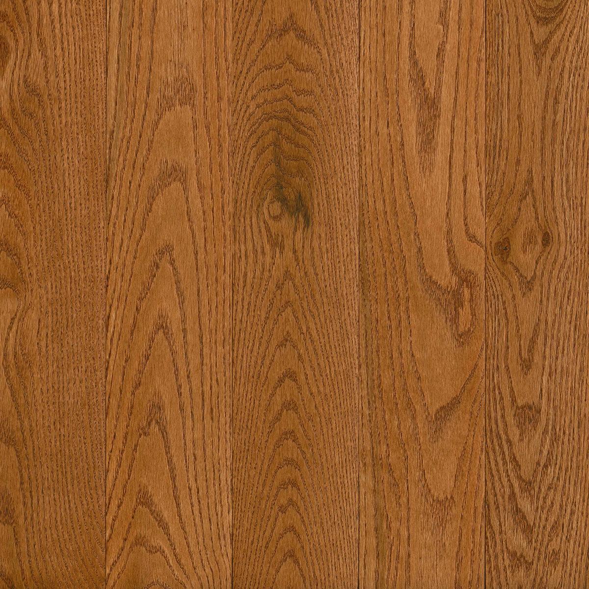Prime Harvest Red Oak Solid in Gunstock 3.25" - High Gloss Hardwood