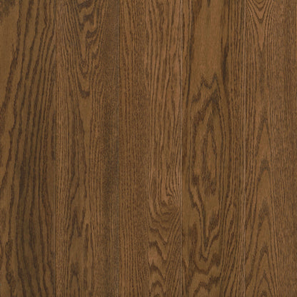 Prime Harvest Red Oak Solid in Forest Brown 3.25" - High Gloss Hardwood