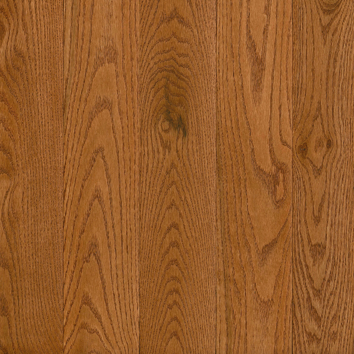 Prime Harvest Red Oak Solid in Gunstock 3.25" - Low Gloss Hardwood