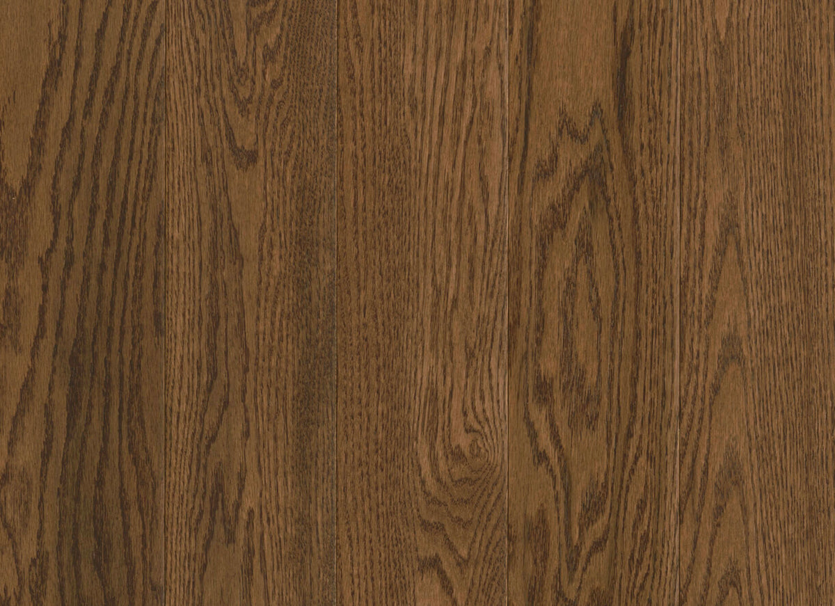 Prime Harvest Red Oak Solid in Forest Brown 3.25" - Low Gloss