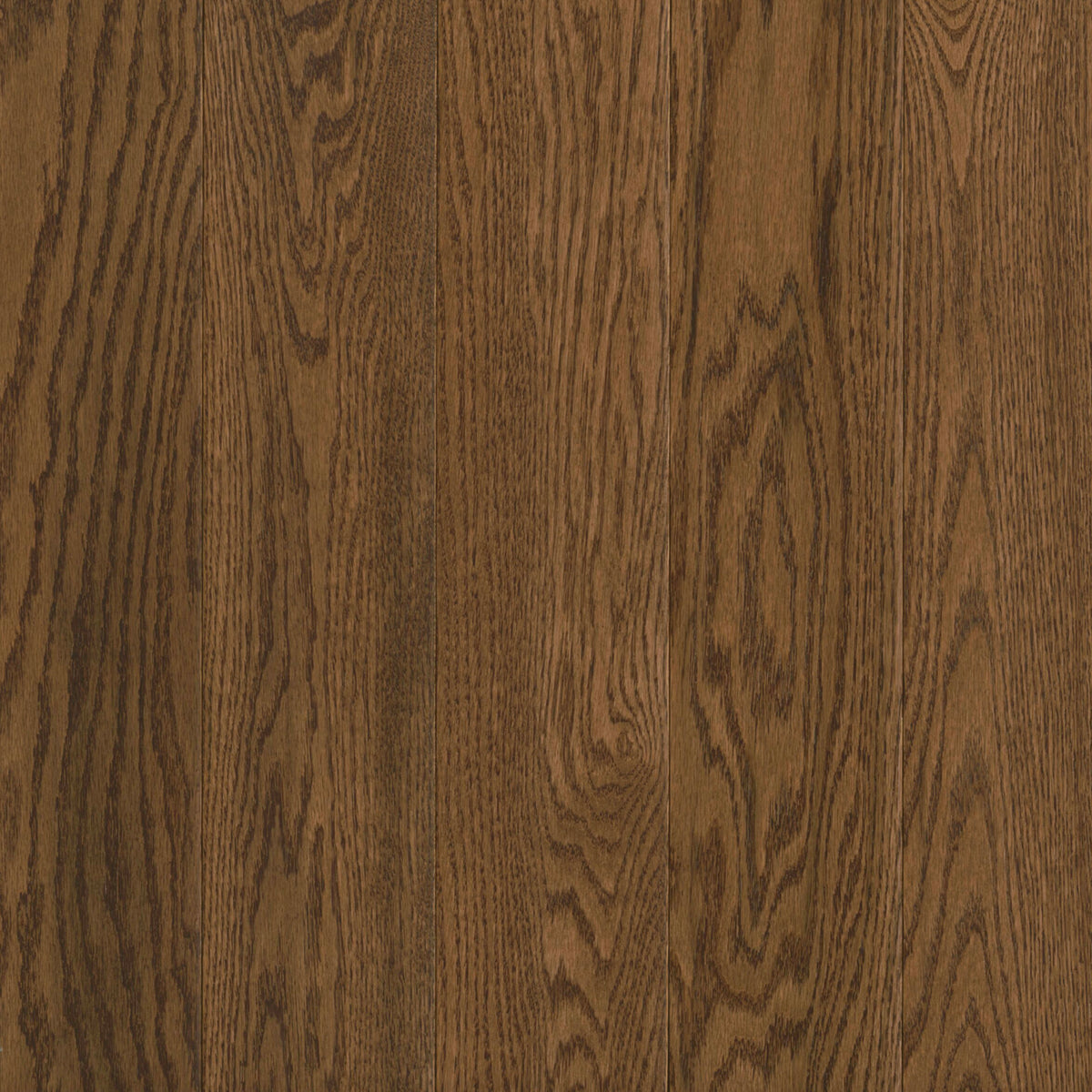 Prime Harvest Red Oak Solid in Forest Brown 3.25" - Low Gloss Hardwood