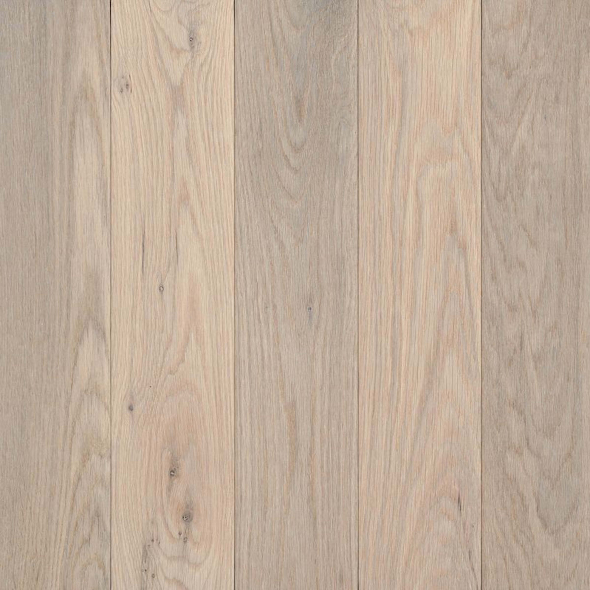 Prime Harvest White Oak Solid in Mystic Taupe 3.25" Micro Hardwood
