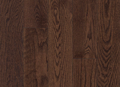 Prime Harvest Red Oak Solid in Cocoa Bean 3.25" - Low Gloss