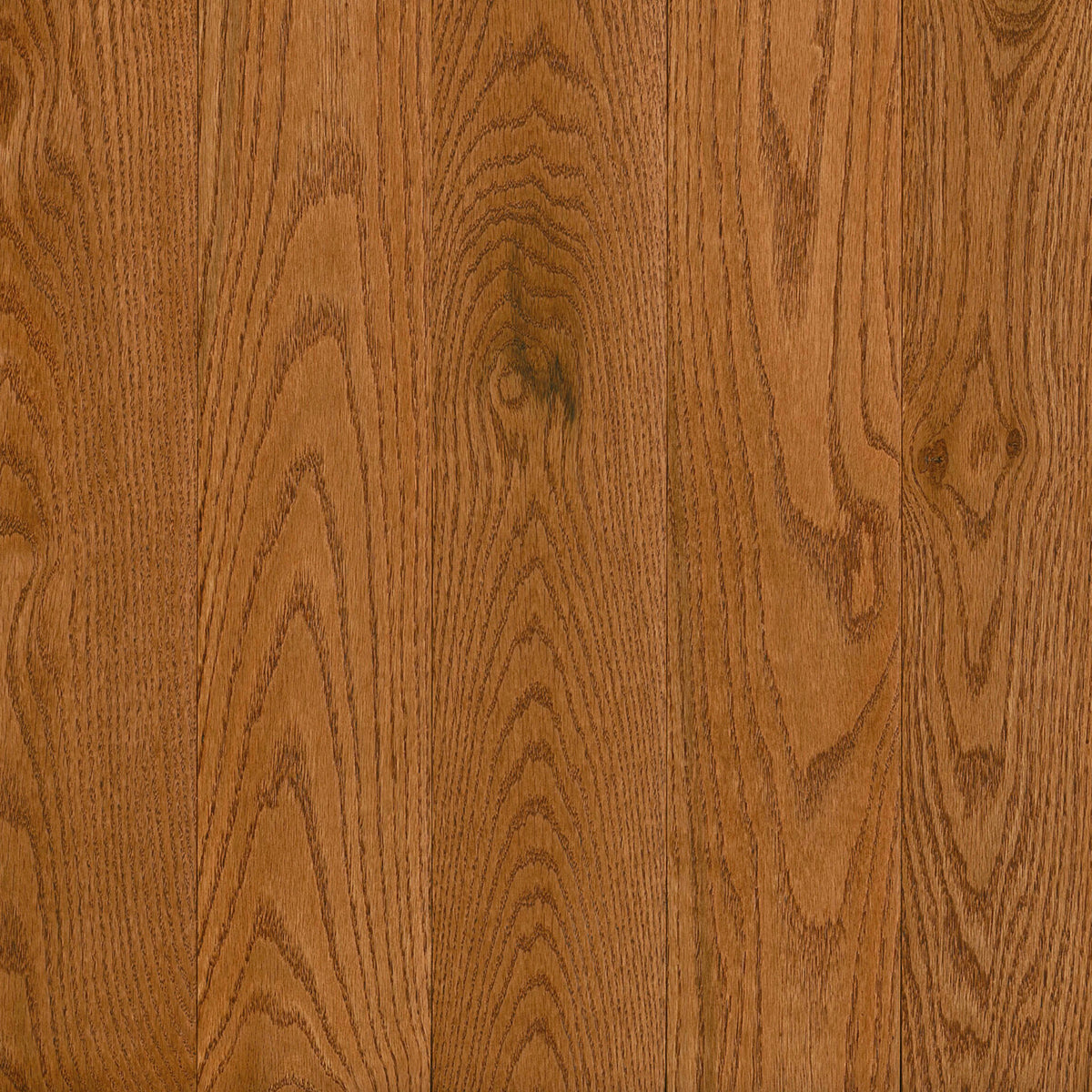 Prime Harvest Red Oak Solid in Gunstock 5" - High Gloss Hardwood