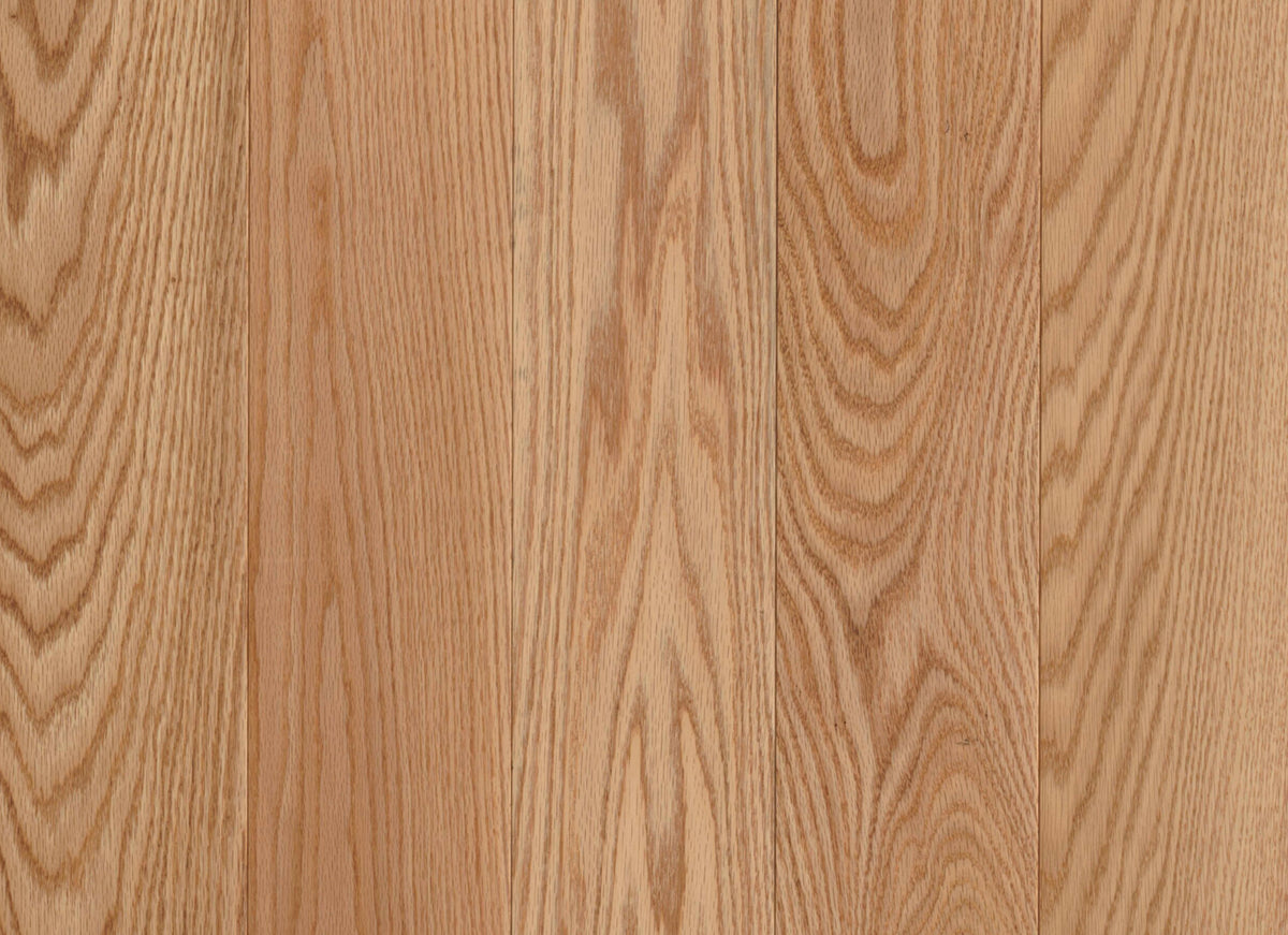 Prime Harvest Red Oak Solid in Natural 5" - Low Gloss