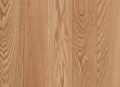 Prime Harvest Red Oak Solid in Natural 5" - Low Gloss