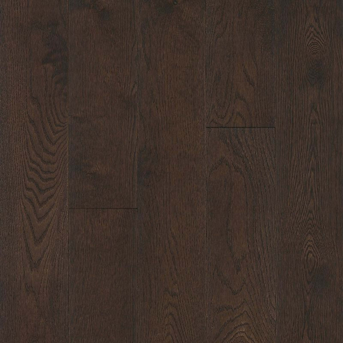 Prime Harvest White Oak Solid in Mocha 5" Hardwood