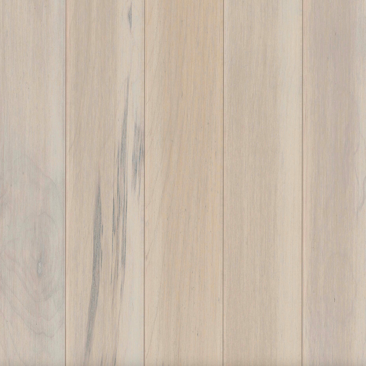 Prime Harvest Maple Solid in Mystic Taupe 3.25" Hardwood