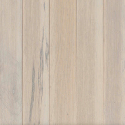 Prime Harvest Maple Solid in Mystic Taupe 3.25" Hardwood