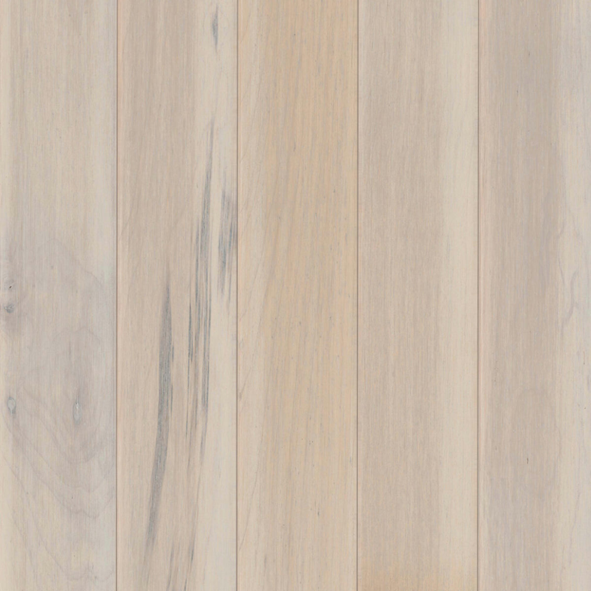 Prime Harvest Maple Solid in Mystic Taupe 5" Hardwood