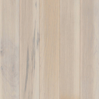 Prime Harvest Maple Solid in Mystic Taupe 5" Hardwood