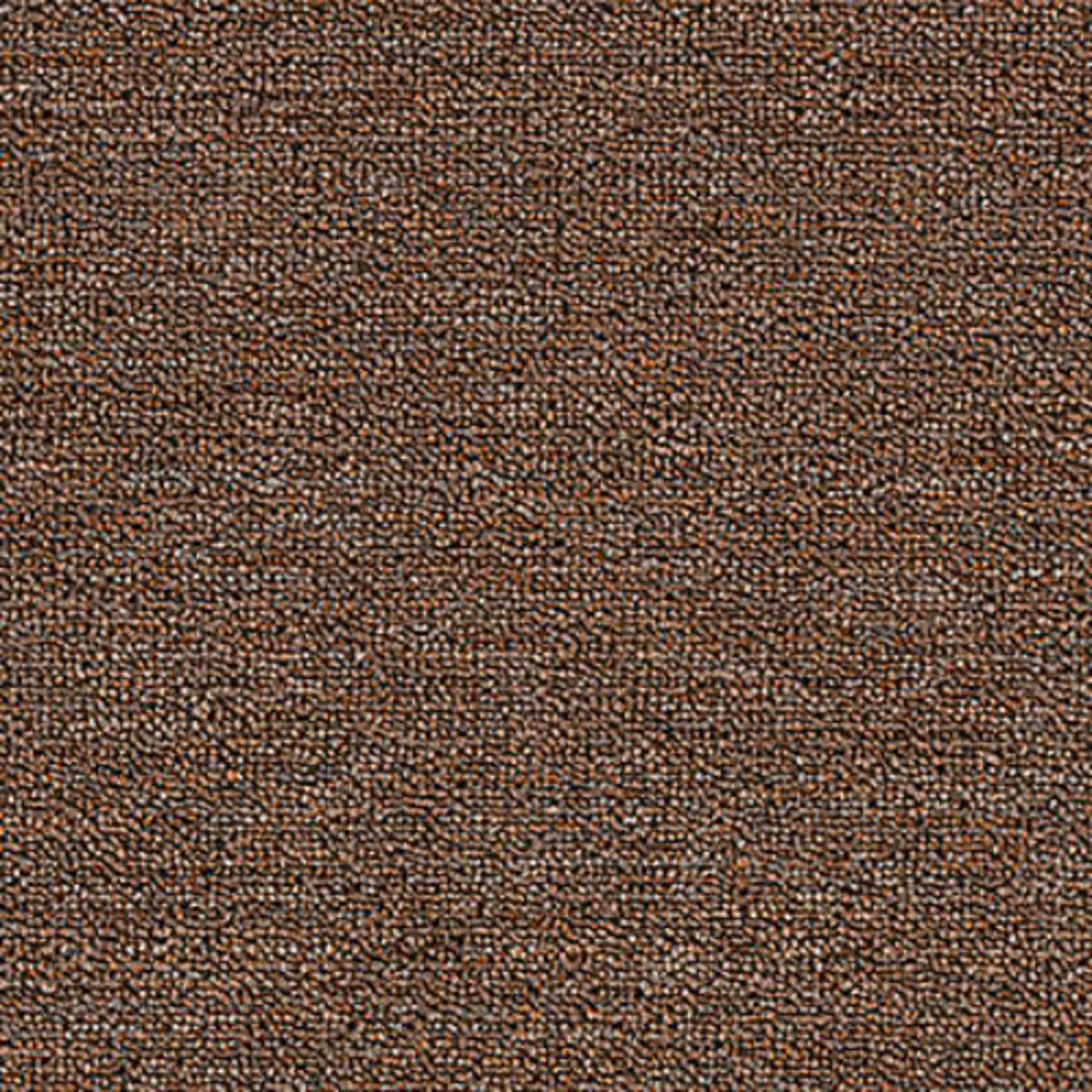 Rule Breaker 20 in Chestnut Carpet