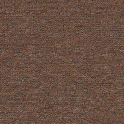 Rule Breaker 20 in Chestnut Carpet