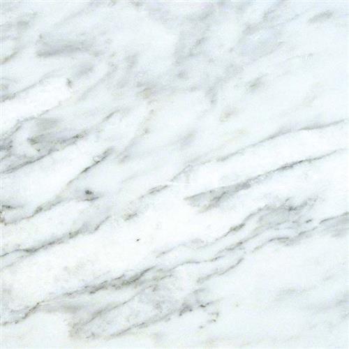 Arabescato Carrara in Arabescato Carrara - 12x24 Natural Stone