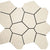 Alaska in Bone Mosaic 13"x15" Polygon Tile
