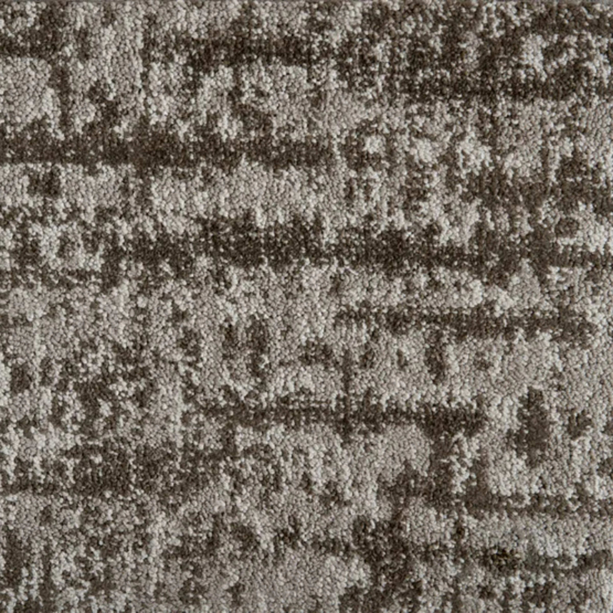 Aspire Waterfall in Graphite Carpet