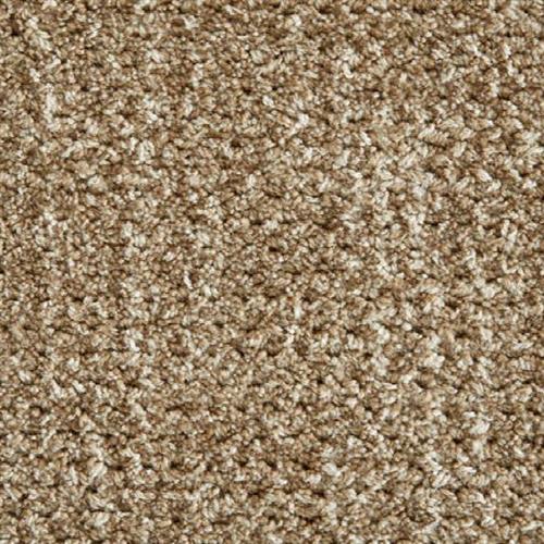 Auburn in Taupe Carpet