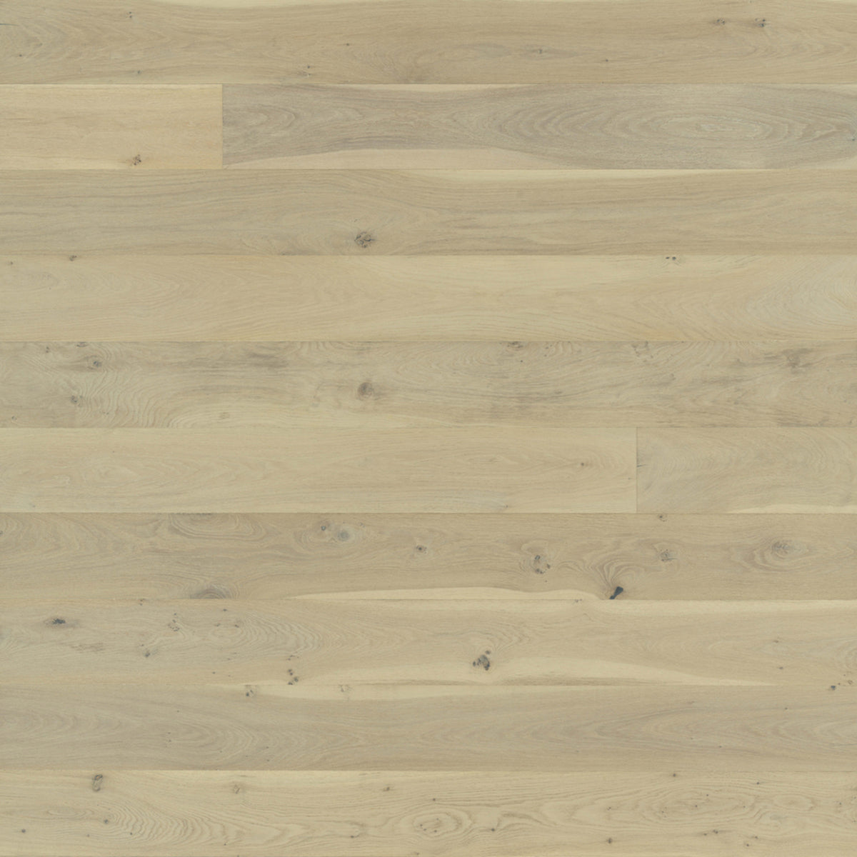 Alta Vista Hardwood in Huntington Hardwood