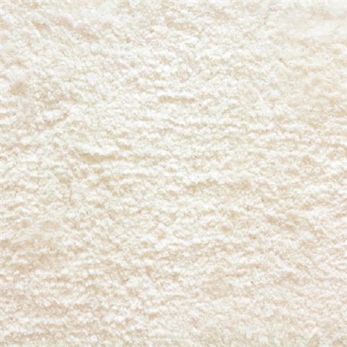 Avantgarde - Shaggy Posh in Bleach White Carpet