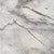 Acclaimed in Stone Carpet