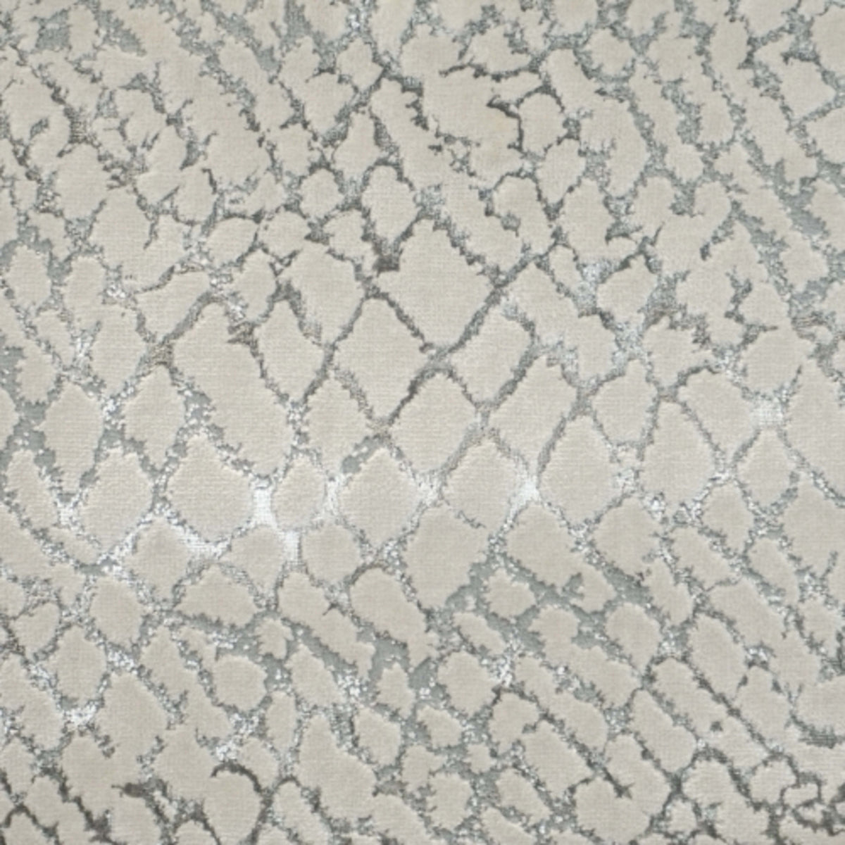 Accomplishment in Harmony Carpet