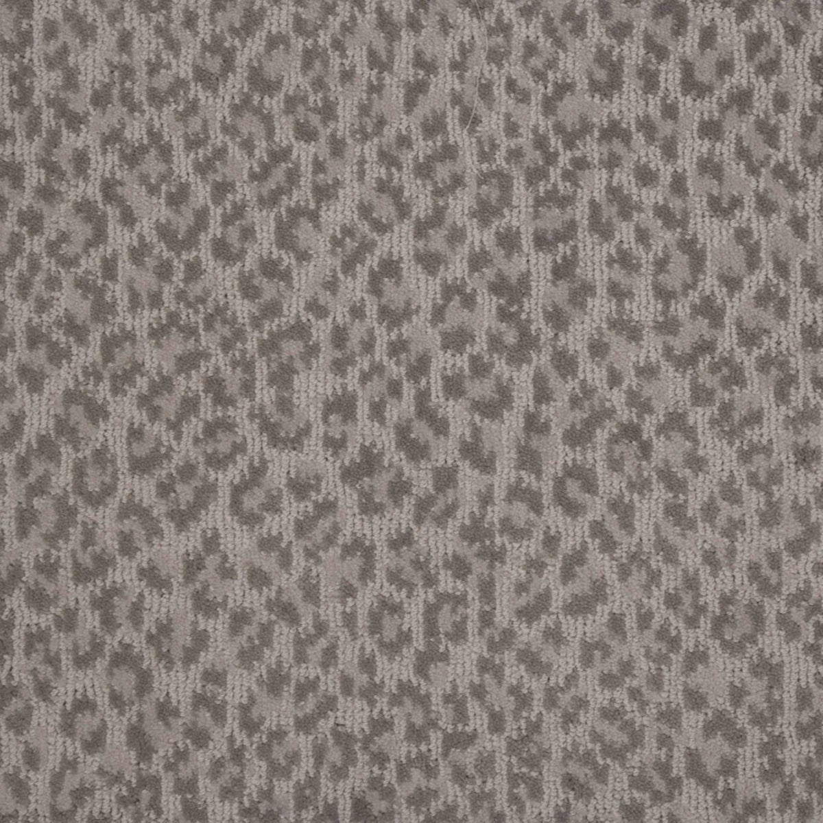 Adventure in Taupe Carpet
